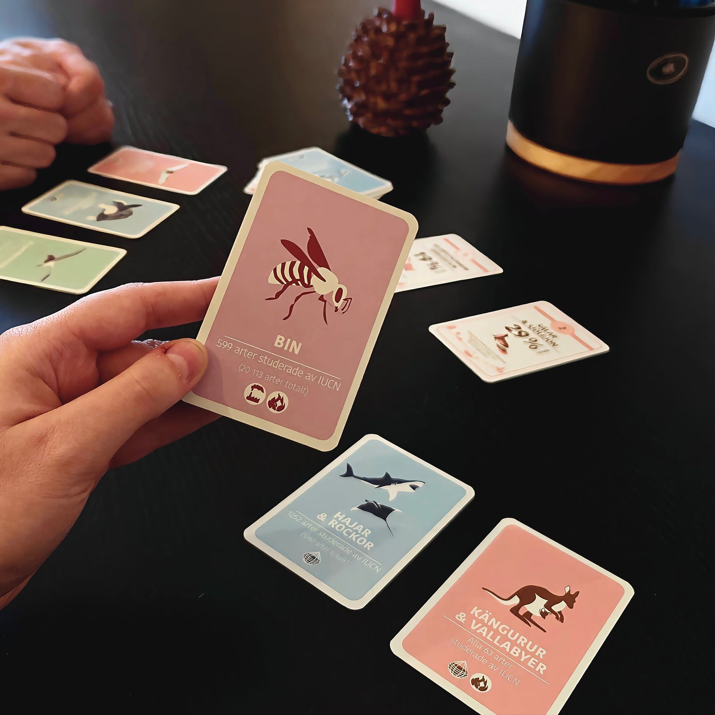 Spelkväll med Artkoll - ett lärorikt spel om biologisk mångfald. Två personer spelar Artkoll.