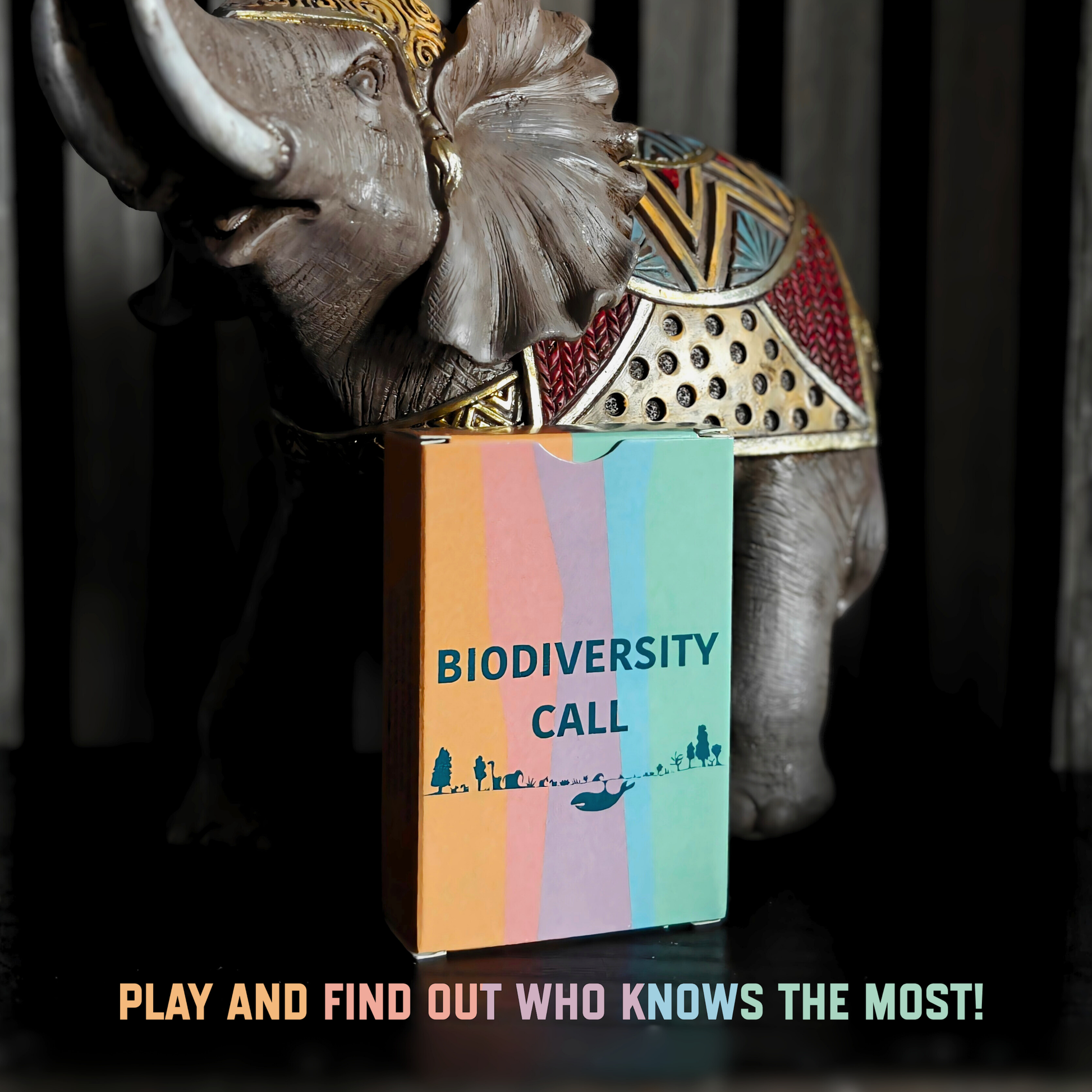 Image showing the Biodiversity Call box of cards in front of an elephant 