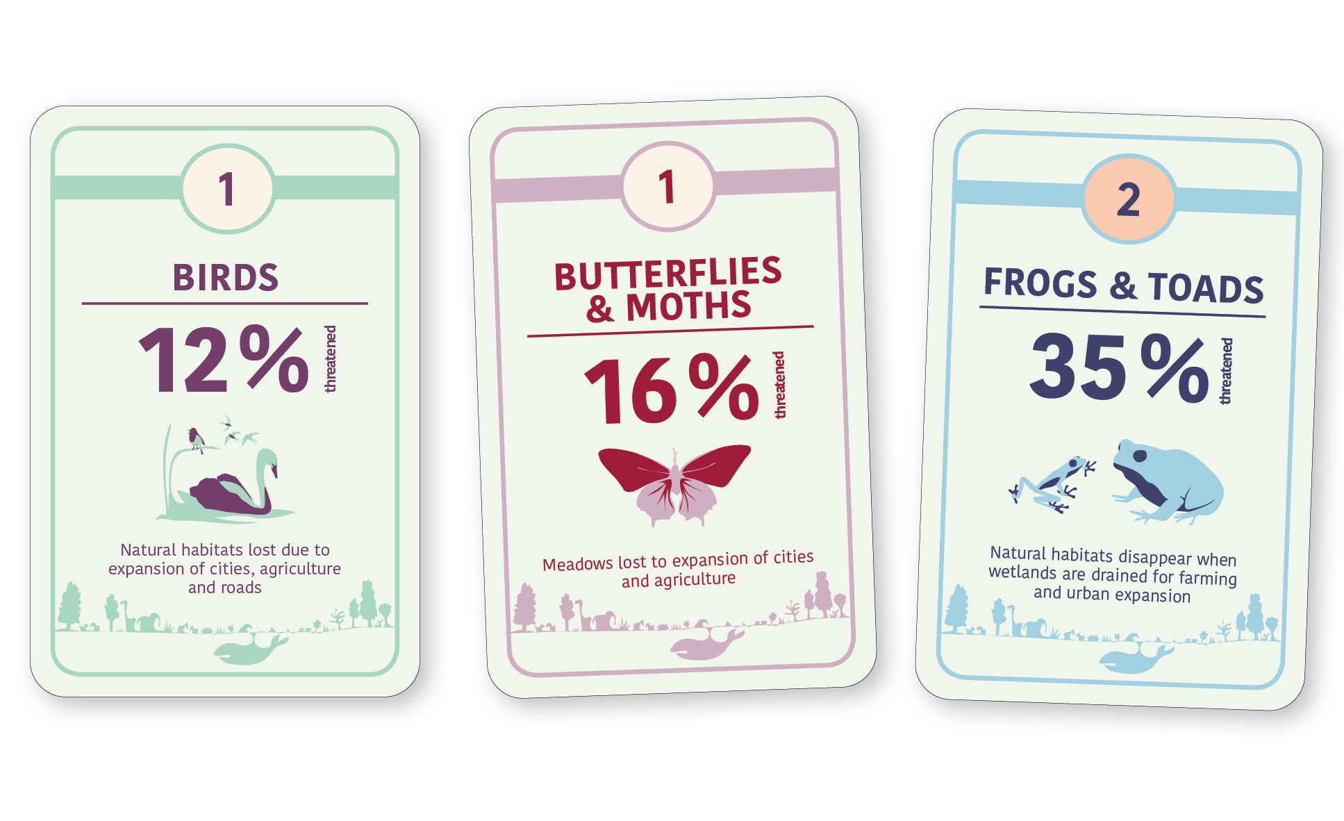 Three cards from the card game Biodiversity Call (backsides)