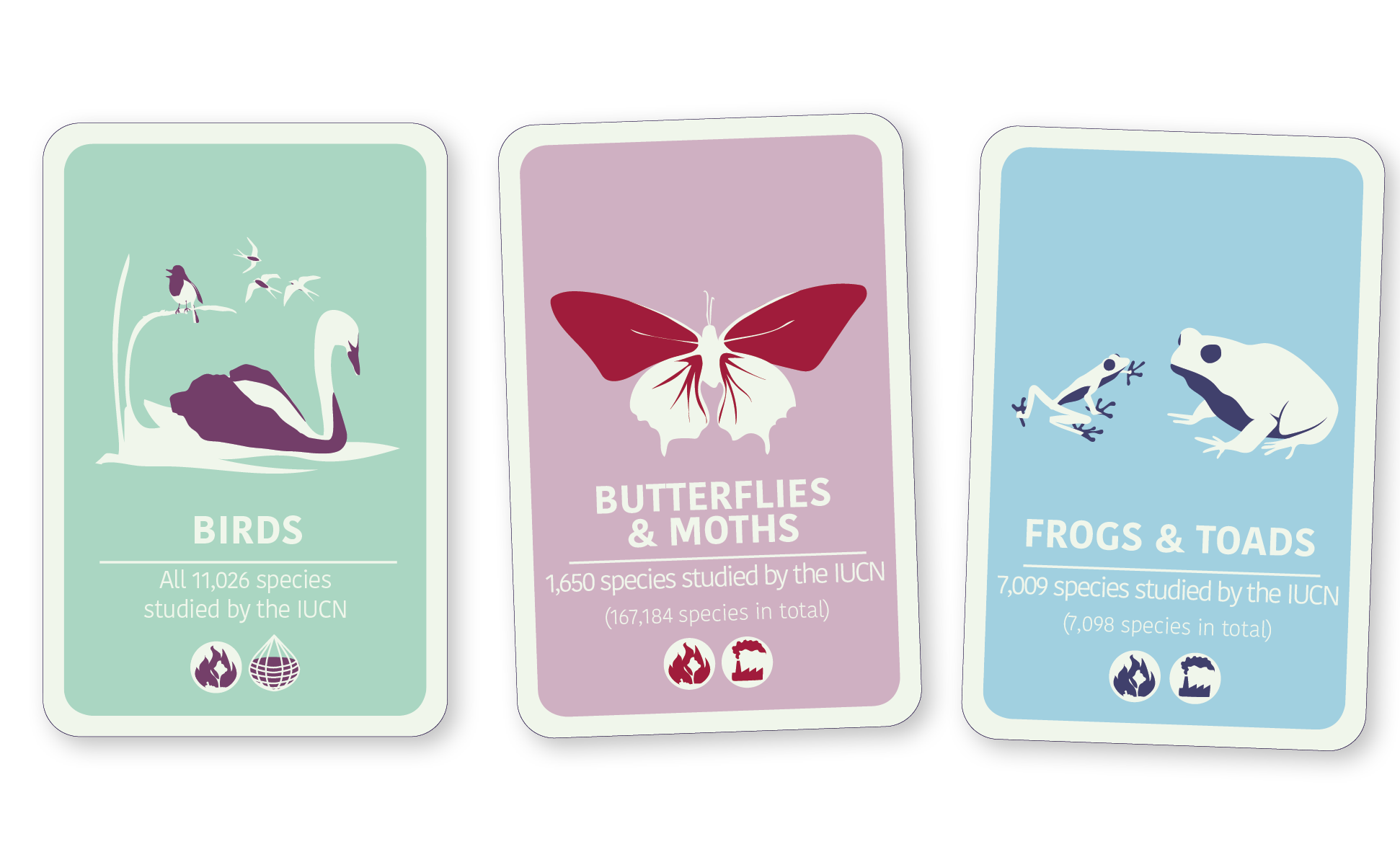 Three cards from the card game Biodiversity Call (front)