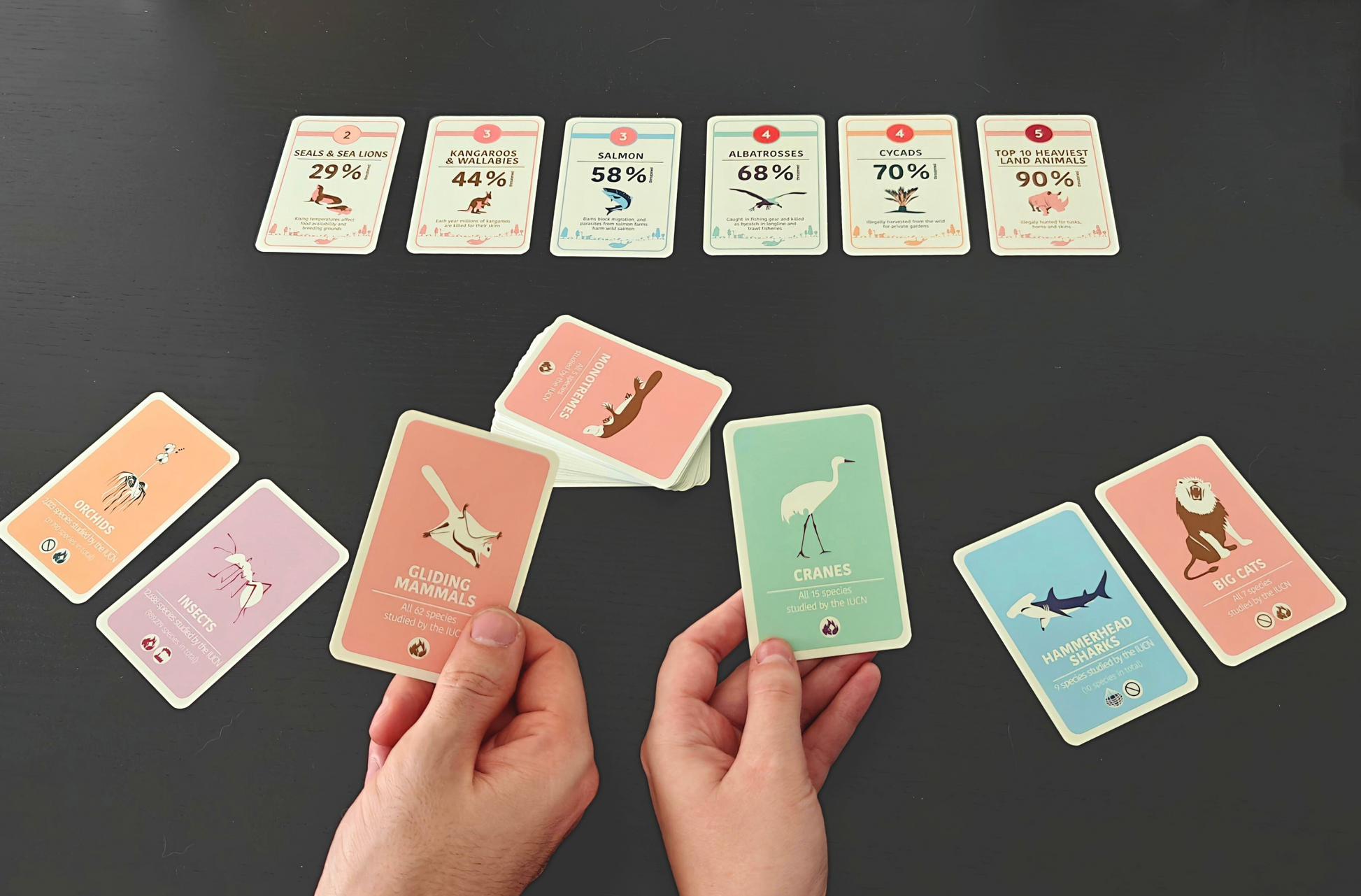 Image showing two players playing the card game Biodiversity Call 