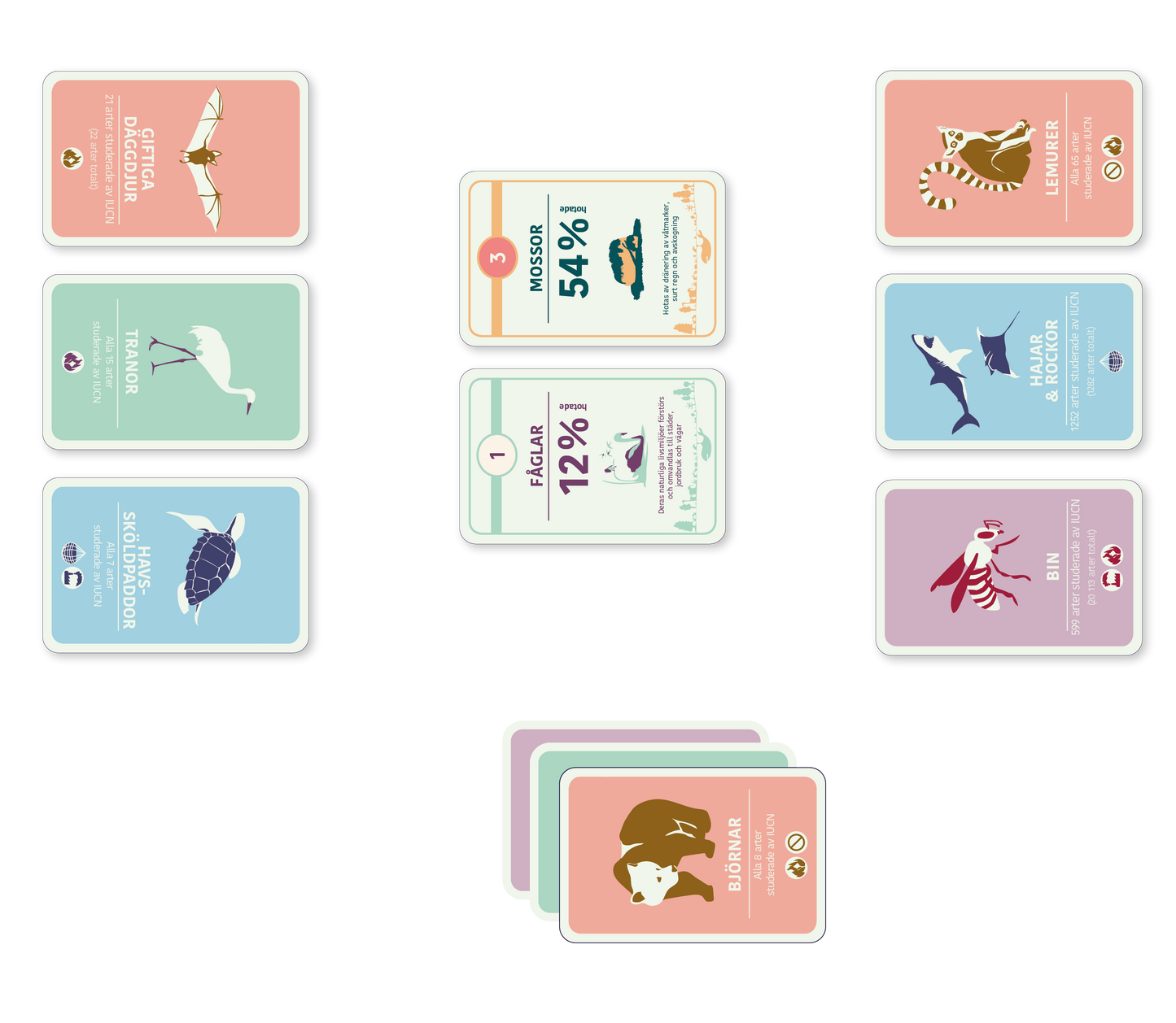 Spelupplägg kortspelet Artkoll ett lärorikt spel om biologisk mångfald