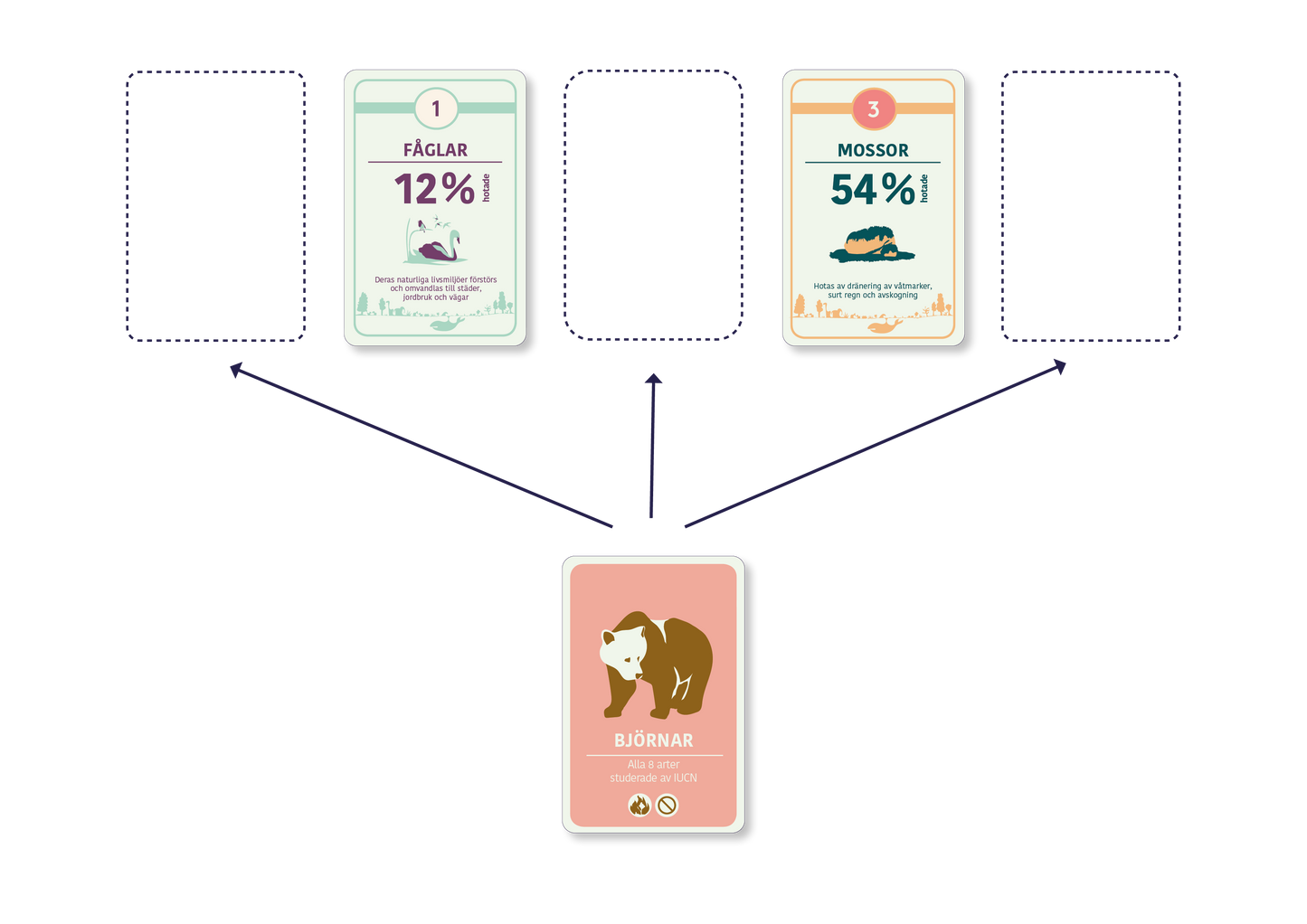 Spelidé kortspelet Artkoll ett lärorikt spel om biologisk mångfald placera kort rätt