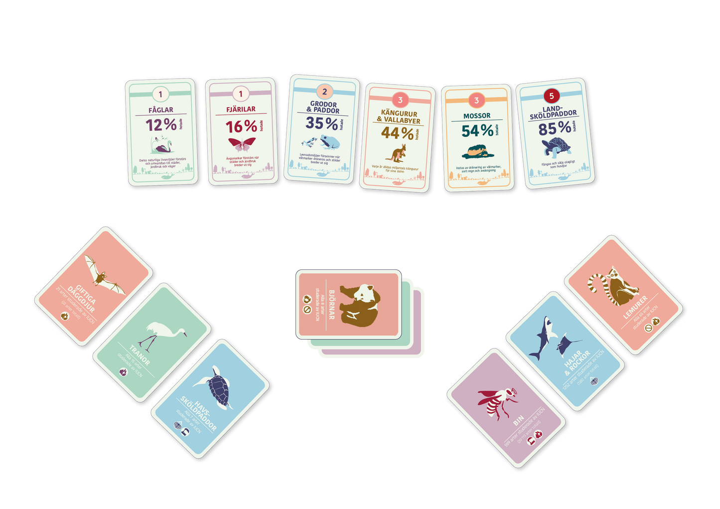Spelupplägg kortspelet Artkoll ett lärorikt spel om biologisk mångfald