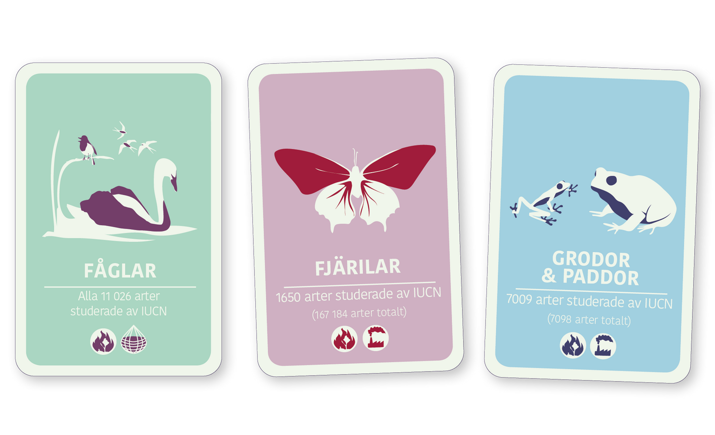 Spelkort från kortspelet Artkoll - ett lärorikt spel om biologisk mångfald