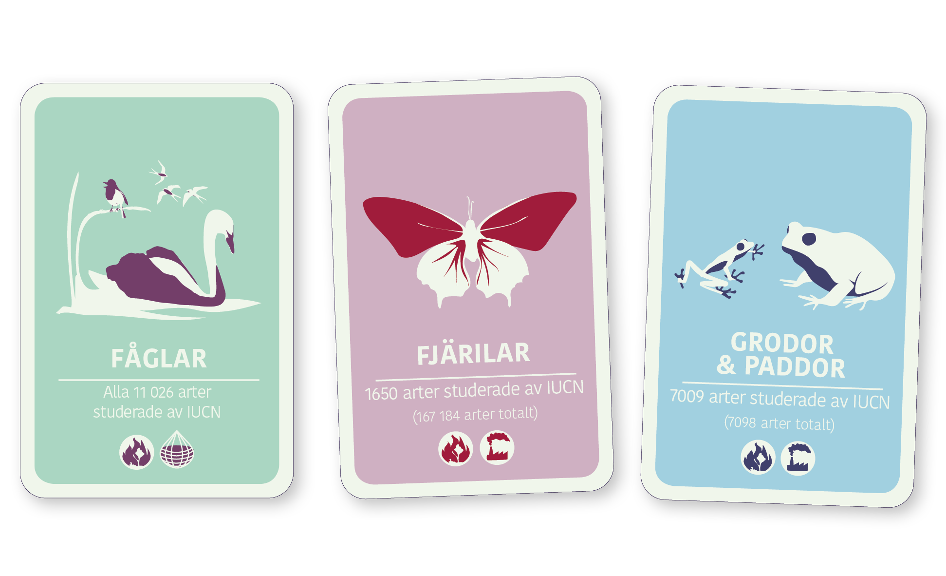 Spelkort från kortspelet Artkoll - ett lärorikt spel om biologisk mångfald